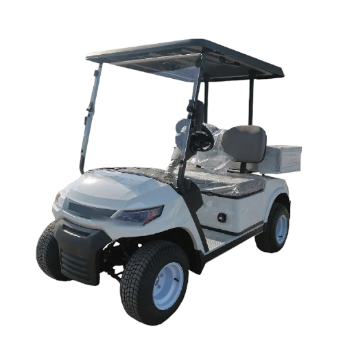 DT-2 2-seater electric utility golf Cart