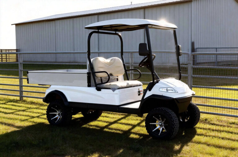 DTH-2 2-Seater hi-rise electric utility cart 1