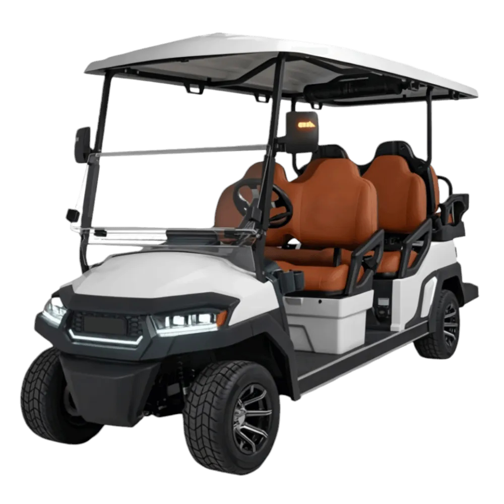 dg-6-6-Seater electric golf cart