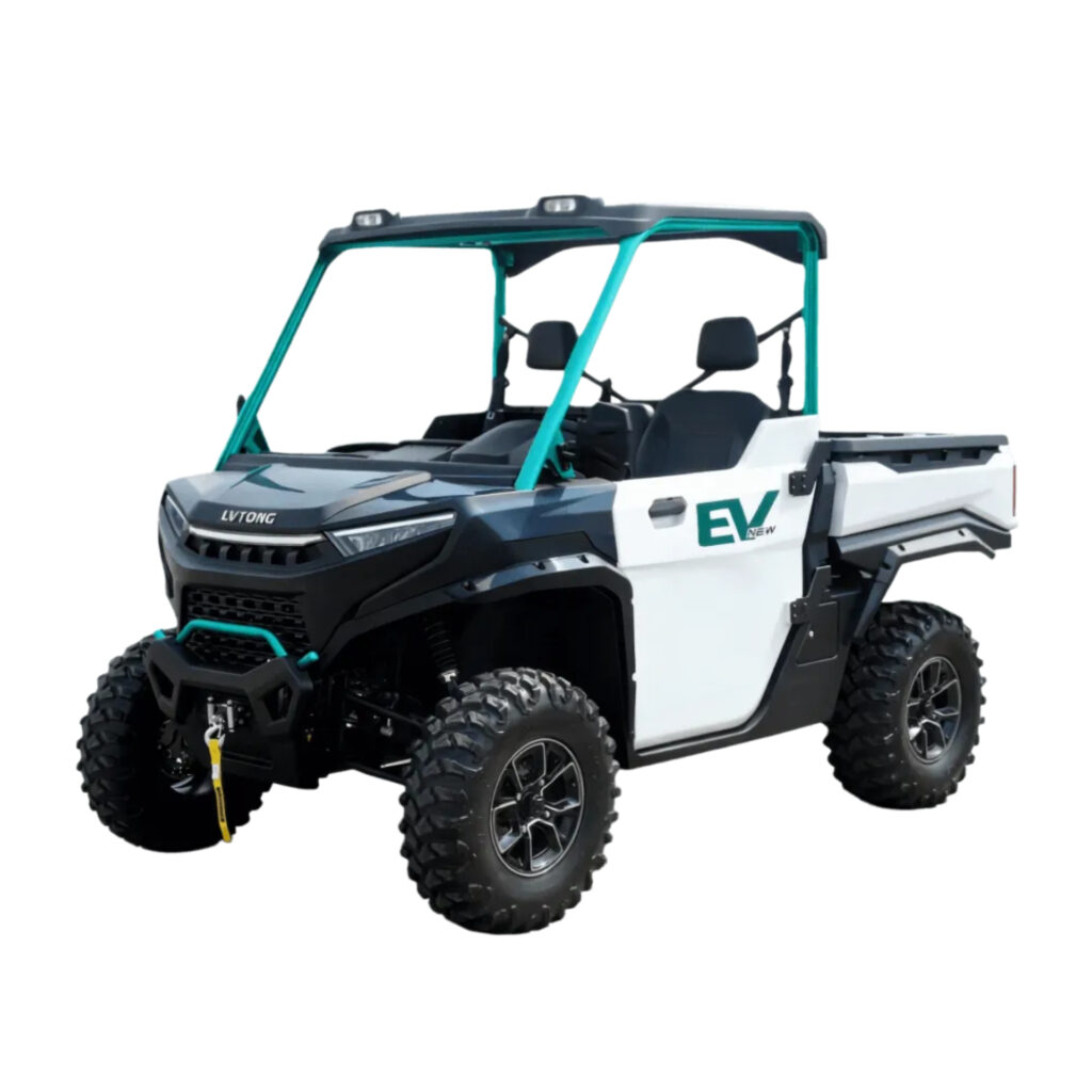 DTV-S 2-seater electric UTV 4
