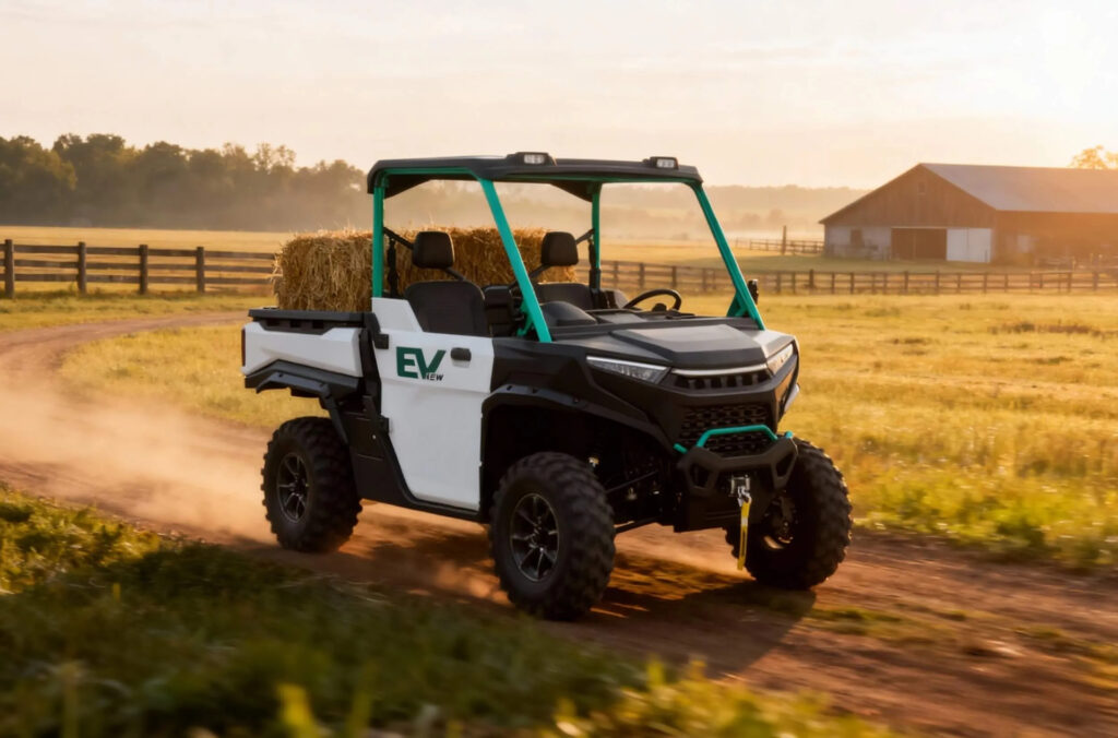 DTV-S 2-seater electric UTV 3