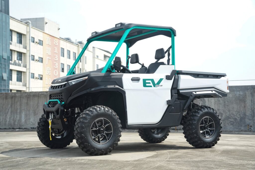 DTV-S 2-seater electric UTV 1