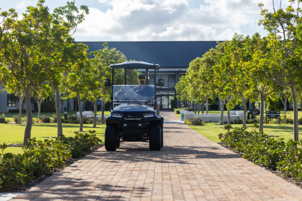 DGH-2 DGH-2 2-seater hi-rise electric golf cart 2